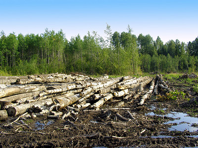 守护绿色家园 生态环境材料销售在可持续发展中的关键作用