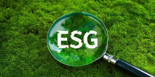 上半年我国生态环境质量持续改善，环保材料市场迎来发展新机遇