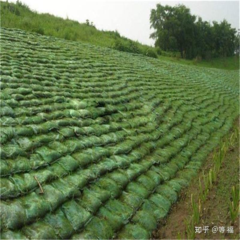 生态袋护坡 绿色堤防的创新解决方案——德州众汇土工材料引领生态环境建设