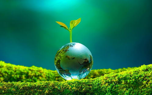 中国版绿色发展马歇尔计划 提升金融国际影响力与生态环境材料销售的双赢战略