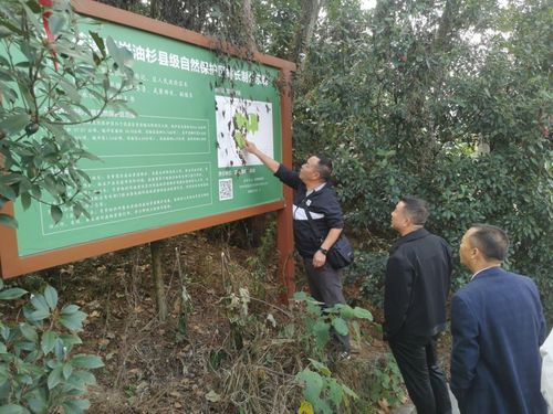 贵阳市生态环境局赴花溪区开展“绿盾”自然保护地督导工作，并考察生态环境材料销售市场